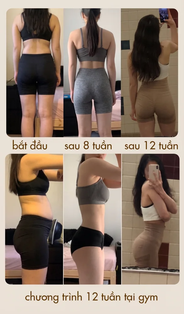 Ảnh 5: các góc chụp lúc bắt đầu, sau 8 tuần và sau 12 tuần trong chương trình tập tại gym.